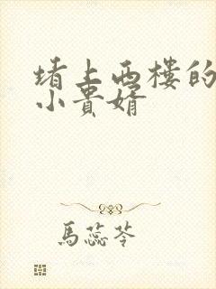 堵上西楼的逍遥小贵婿