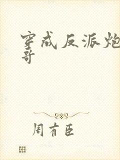 穿成反派炮灰他哥