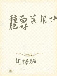 种白菜用什么底肥好