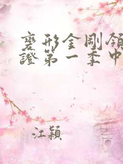 变形金刚领袖之证第一季中文版