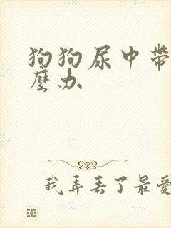 狗狗尿中带血怎么办