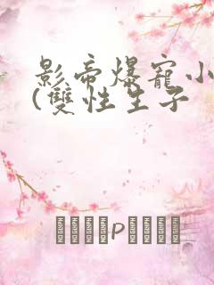 影帝爆宠小骚妻(双性生子