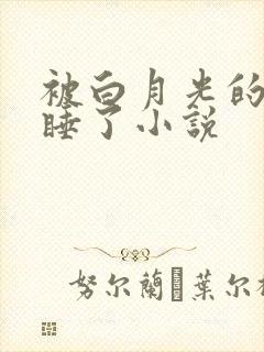 被白月光的爸爸睡了小说