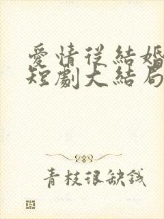 爱情从结婚开始短剧大结局