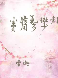 小肠气微创手术费用多少
