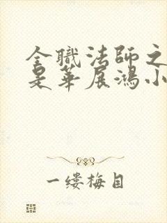 全职法师之我爹是华展鸿小说