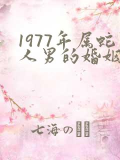 1977年属蛇人男的婚姻配偶