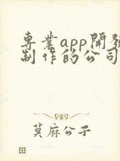 专业app开发制作的公司