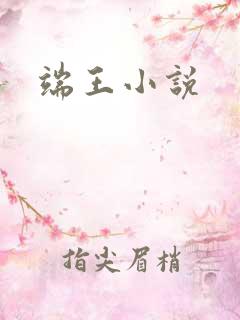 端王小说