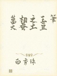 万相之王笔趣阁天蚕土豆