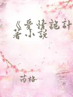 《爱情诡计》原著小说