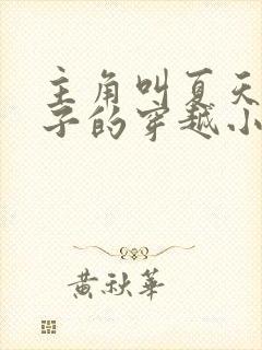 主角叫夏天九皇子的穿越小说
