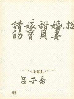 错嫁甜婚,总裁的宝贝妻