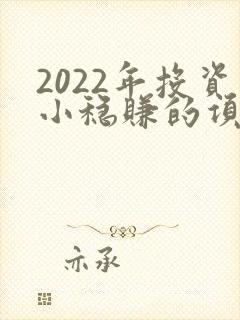 2022年投资小稳赚的项目