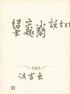 绍宋小说txt笔趣阁