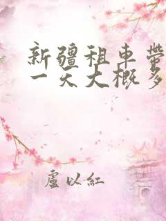 新疆租车带司机一天大概多少钱