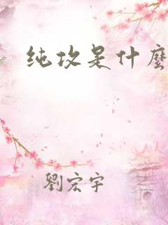 纯攻是什么意思