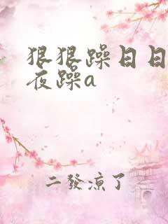 狠狠躁日日躁夜夜躁a