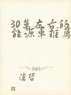 30万左右的新能源车推荐