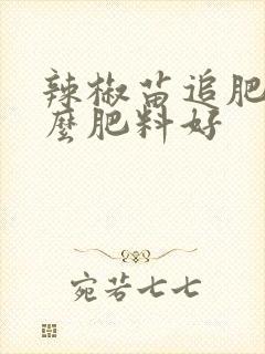 辣椒苗追肥用什么肥料好