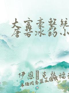 大富豪系统林凡唐若冰的小说叫什么