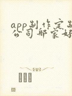 app制作定制公司哪家好