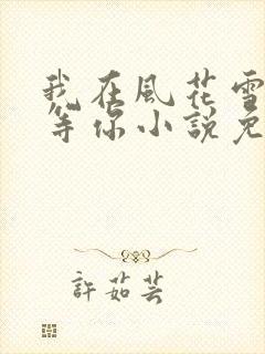 我在风花雪月里等你小说免费阅读全文