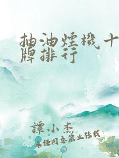 抽油烟机十大名牌排行