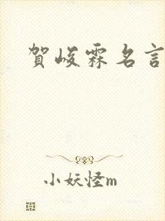 贺峻霖名言名句