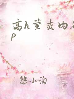 高h荤爽肉欲np