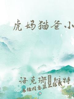 虎妈猫爸小说