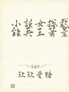 小说女总裁的全能兵王萧晨手机免费阅读全文