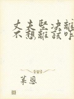丈夫坚决离婚我不想离该咋样挽救
