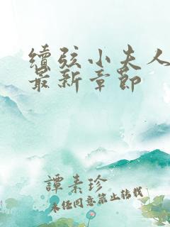 续弦小夫人下载最新章节
