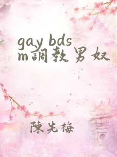 gay bdsm调教男奴