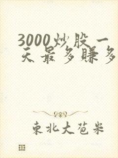 3000炒股一天最多赚多少