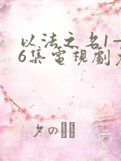 以法之名1—36集电视剧免费下载