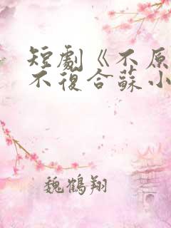 短剧《不原谅,不复合苏小姐独美》