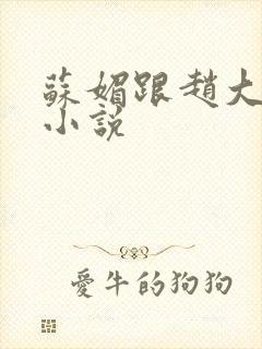 苏媚跟赵大宝的小说