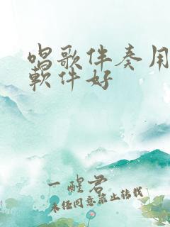唱歌伴奏用哪个软件好