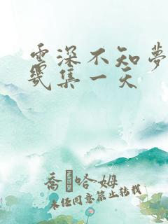 云深不知梦更新几集一天