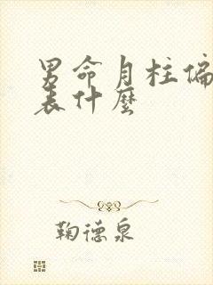 男命月柱偏财代表什么