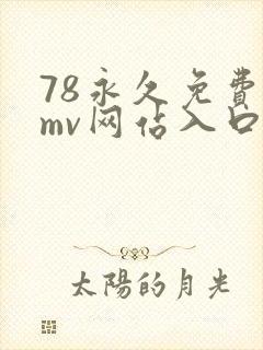 78永久免费看mv网站入口com