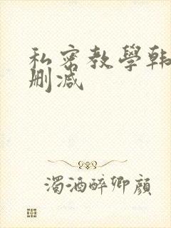 私密教学韩漫无删减