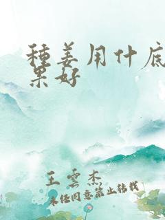 种姜用什底肥效果好