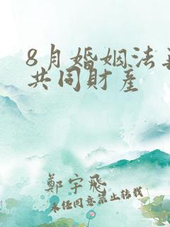 8月婚姻法再无共同财产