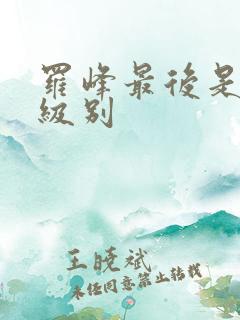 罗峰最后是什么级别