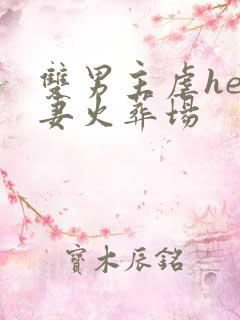 双男主虐he追妻火葬场