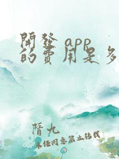 开发 app 的费用是多少