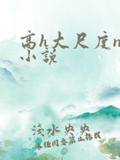 高h大尺度np小说